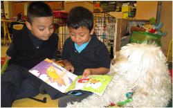 PAWS Team Works with Bilingual Students