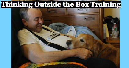 Thinking  Outside the Box Training