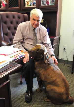 Therapy dogs provide aid in county courtrooms