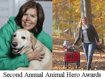 Delaware Pets: Four dogs named Animal Heroes