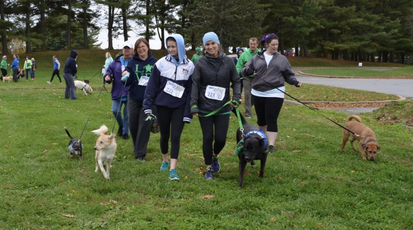 Soggy Saturday Doesn’t Deter Dog Lovers