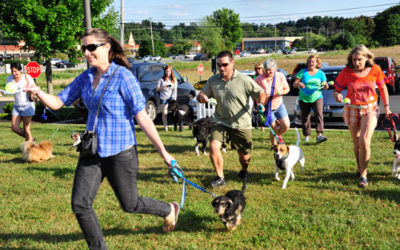 ‘Yappy Hour’ benefits Paws for People