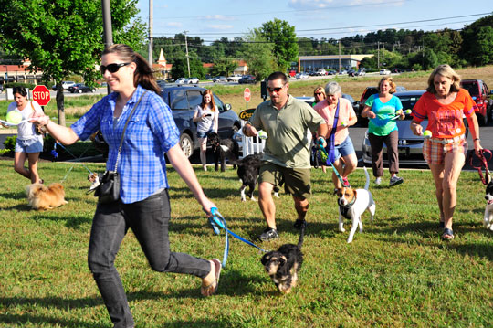 ‘Yappy Hour’ benefits Paws for People