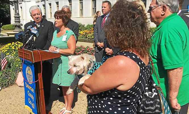 Dogged Justice: Therapy dogs to be used in pilot program to ease tension in juvenile court