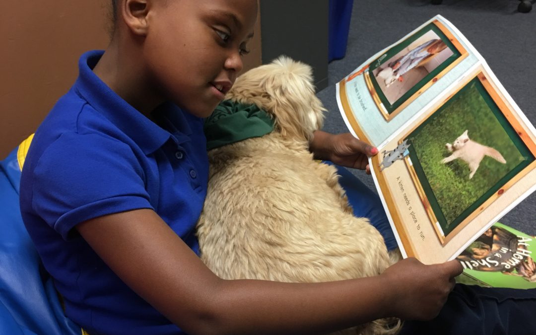 PAWS for Reading