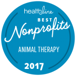 Best non profits 2017