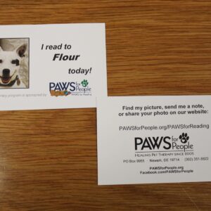 Pet Reading Cards