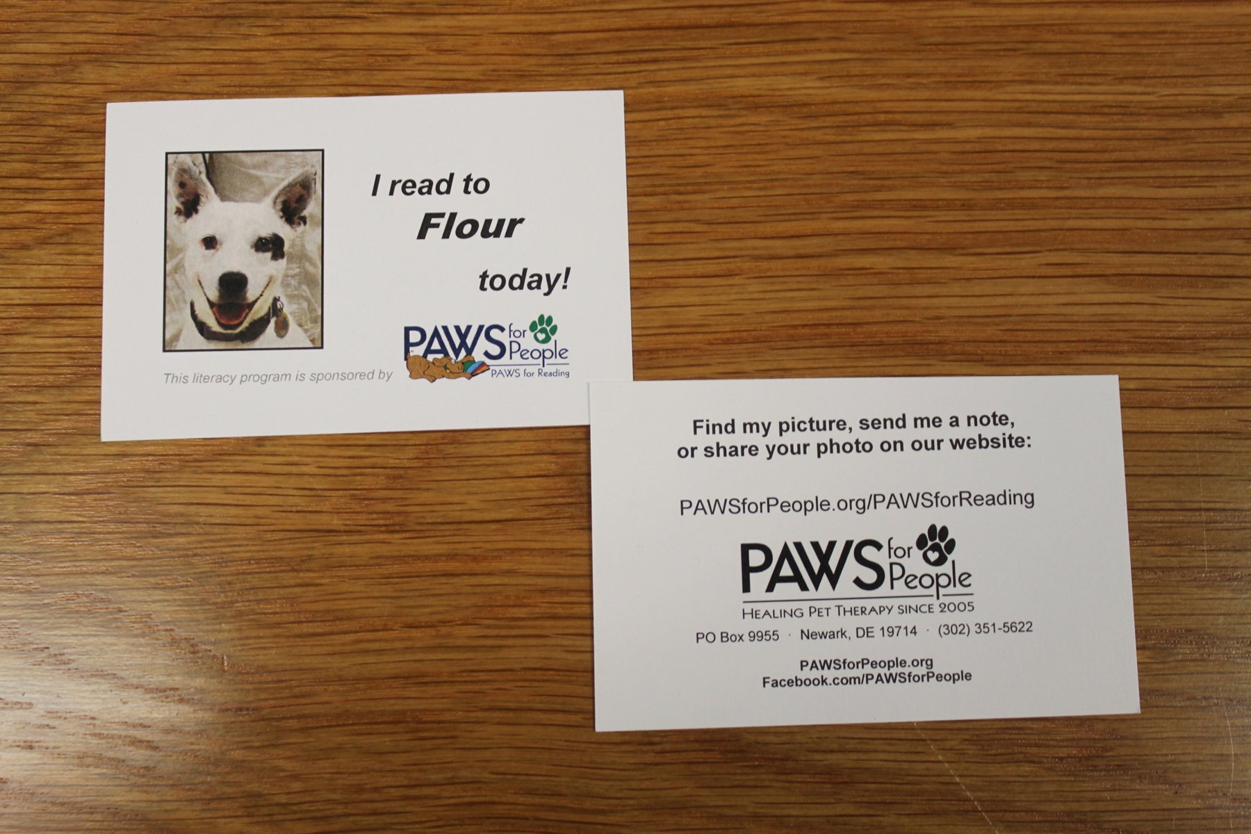 Pet Reading Cards