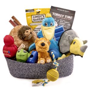dog-toys-and-treats
